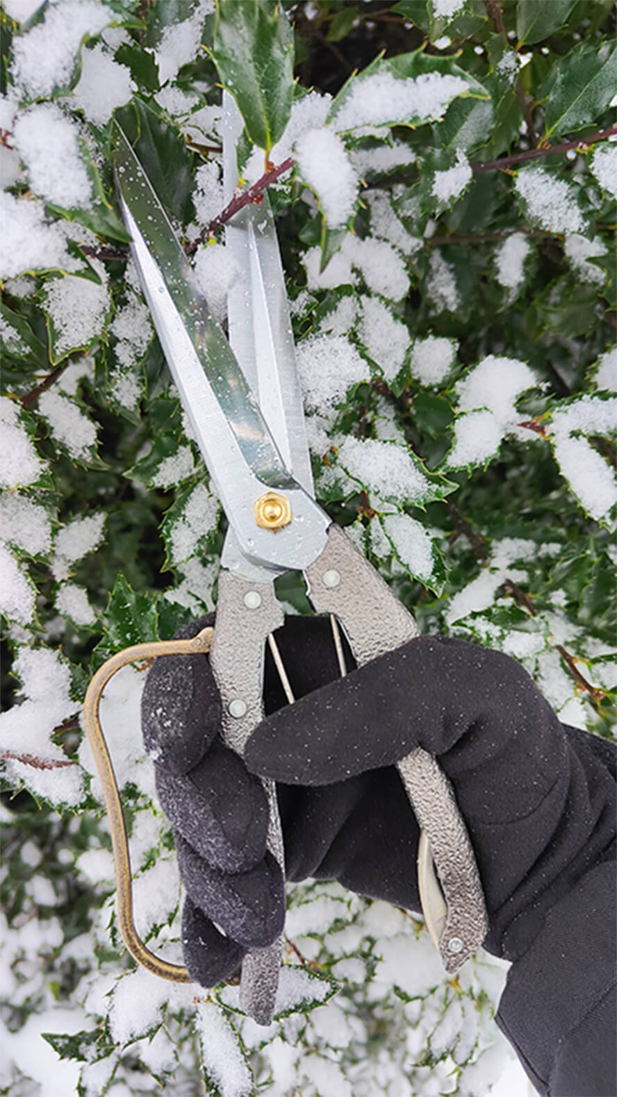 Pruners